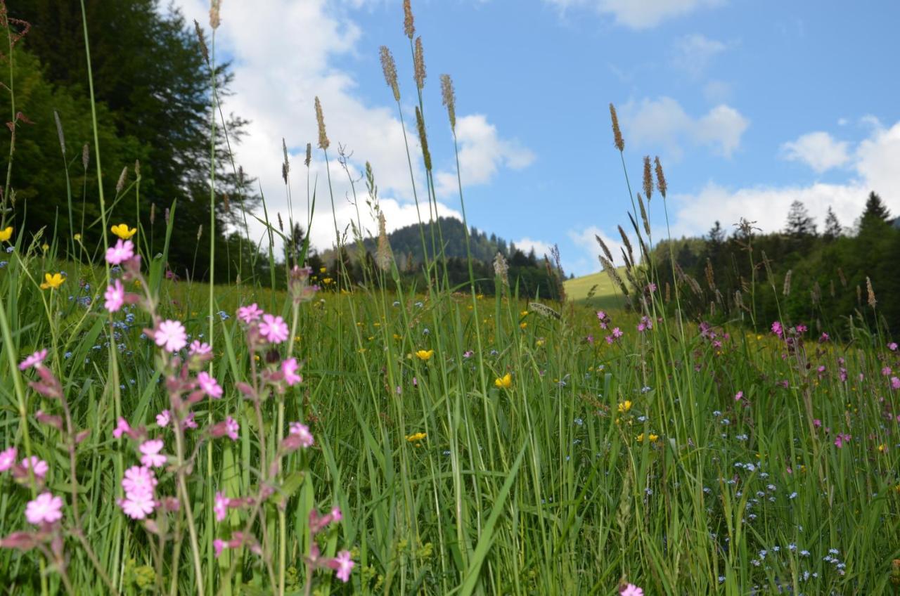 Heustubn Ferienwohnungen Unken Buitenkant foto